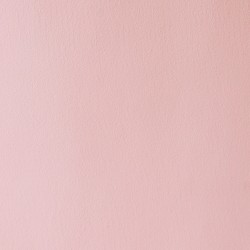 Naturmaling - Blossom