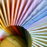 Colored oil - Ari's Blues