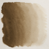 Raw Umber