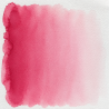 Rose Magenta