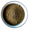 Raw Umber