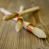 Sprout brush