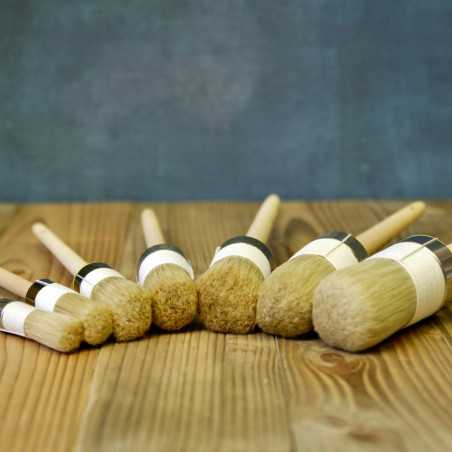 Ring brush Nature