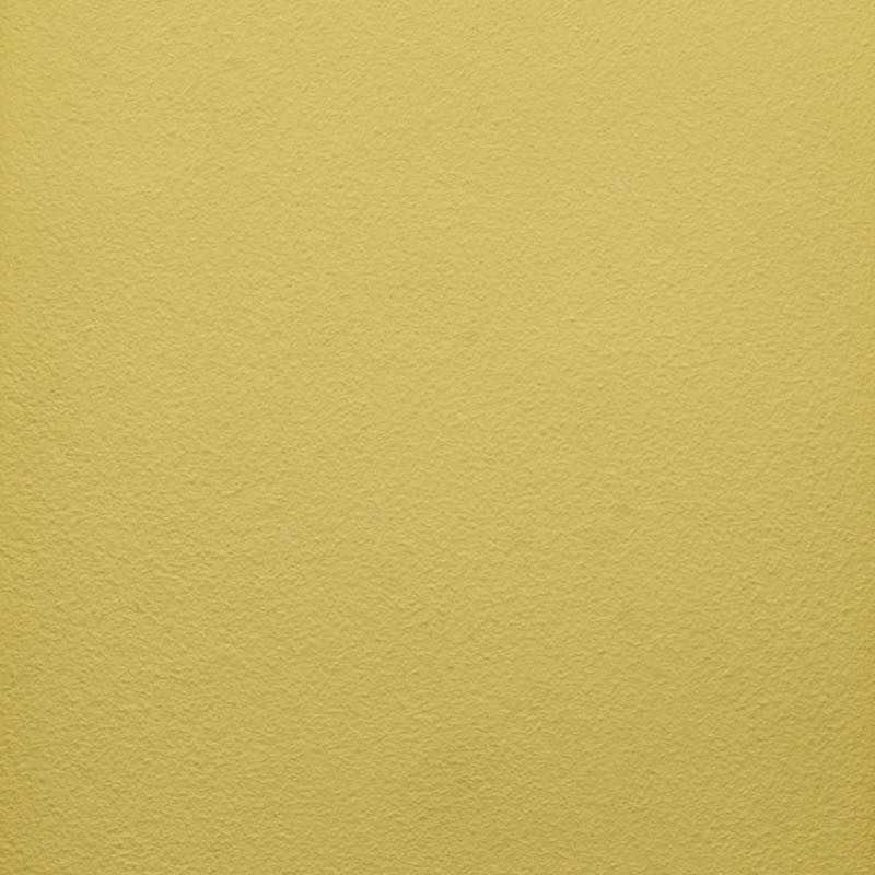 Naturmaling - Limone