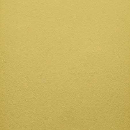 Naturmaling - Limone