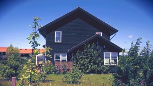 Black linseed oil paint for wood